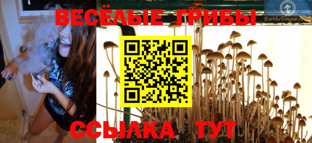 цены   Вход с VPN  Тихвин  Галлюциногенные грибы прущие грибы  Галлюциногенные грибы ЛСД 