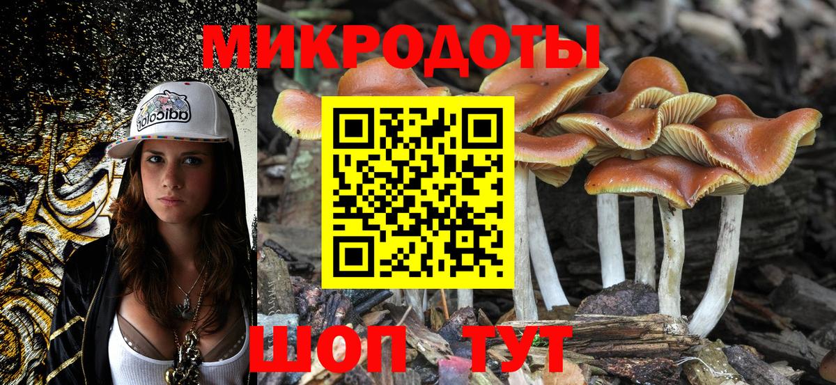Псилоцибиновые грибы мухоморы Тихвин
